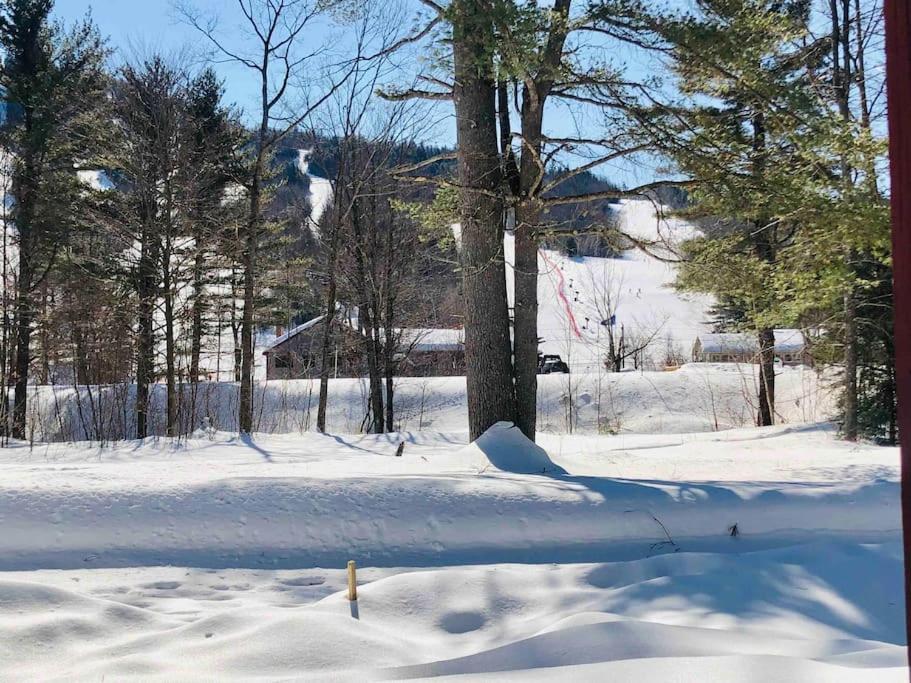 Attitash Mountain Village Studio - Slope View - Ski - Storyland Bartlett Luaran gambar